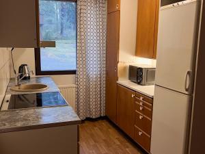 Valkjärvi Sauna on the Lake