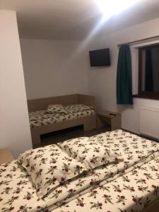 Pensiunea Dealul Miristei Fundata