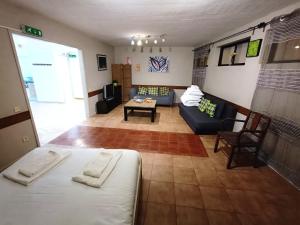 Center Porto Economic Huge Flat