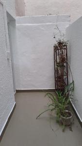 Alquilo Departamento 2 Ambientes Verano