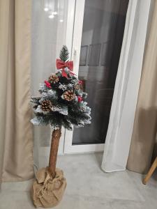 Apartament Przy Parkowej w centrum Niechorza blisko plaży