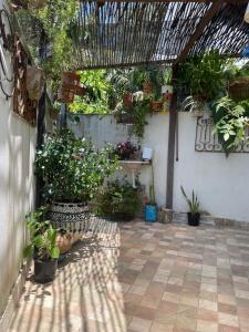 Olinda Magic Studio