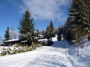 Chalet Heide