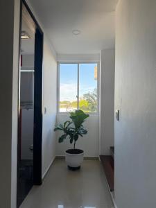 Bonito apto en el corazon de Yopal