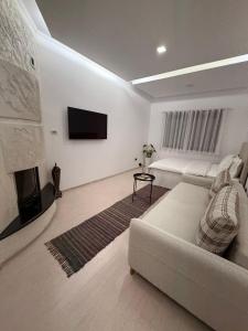 Ani Apartment with Fireplace