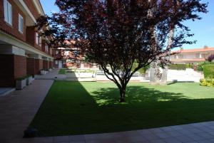 Casa unifamiliar en primera linea de mar