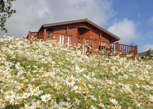 Hornbeam Country Park