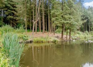 Hornbeam Lodge Escape