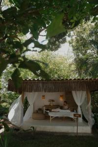 Villa Cacau - Floresta