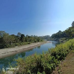 Sisamara Forest Bliss Homestay By StayApart