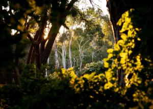 Delphi, Adelaide Hills Garden BnB