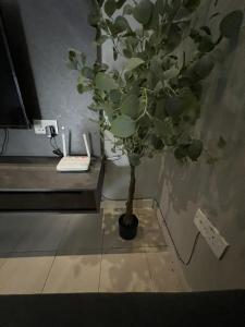 UdaEdy Homestay