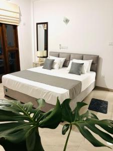 Villa southern coast