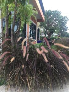 Sata House Boutique Resort