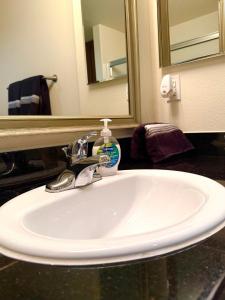 Downtown LA Urban Escape