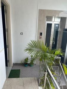 Cosy and Comfortable Cottage in South Delhi