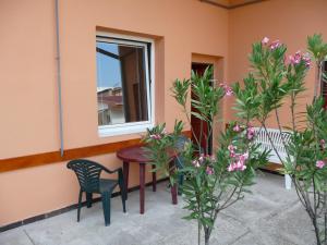 Apartman Fortuna
