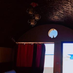 Reef life camp
