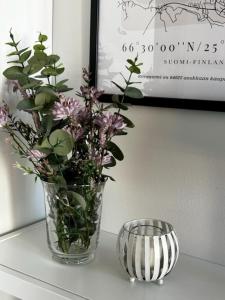 HomeNest with sauna with warm garage