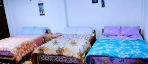 Lama homestay
