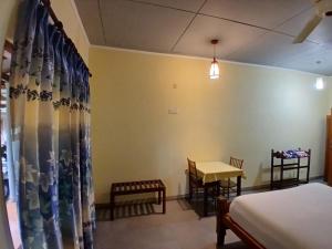 Euro star holiday inn