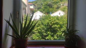 Woodpecker Backpacker Hostel & Tours , Excursions