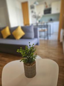 5 min Disney - Place dAriane Chessy - Parking gratuit