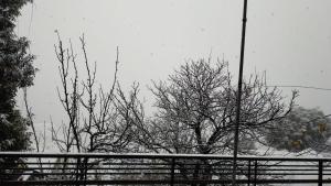 Bonfire, Barbecue, Snow, Private 2BHK Barog near Solan