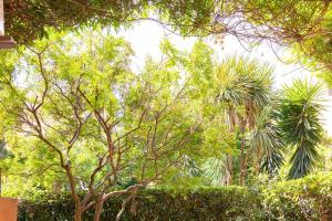 The Melograno apartment