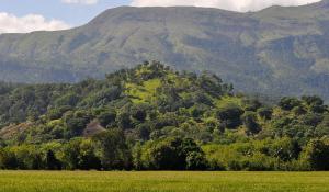 Halmilla Ara Eco Villa