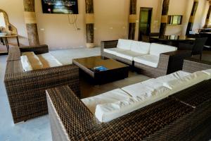 Signature Collections by Eight Continents