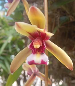 Happy Living Weligama