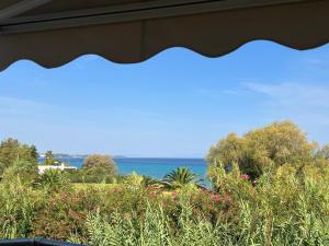 Beachfront Bliss Polychrono