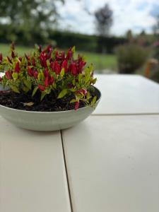 Casa Roberta - Esperienze di campagna