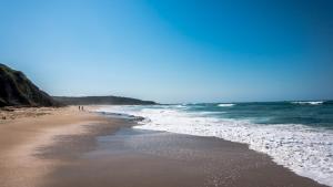 The Sanctuary by the Sea, Family and Dog Friendly