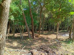 Chalé Mandala de Pedra