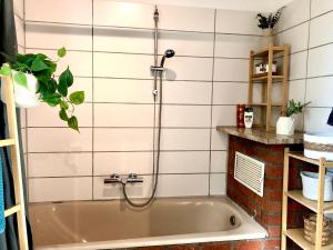 Ferienhaus mit Zirbitzblick