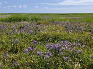 4 person holiday home in Bramming-By Traum