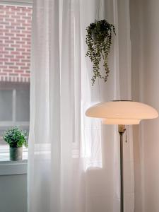 삼성 청담 강남 조용하고 깨끗한 3룸