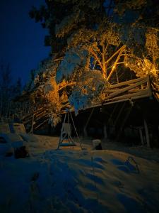 Jurty z widokiem, prywatna balia- DZIKOLAS GLAMPING