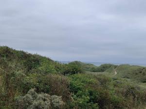 Cozy Beach House with View - By Traum Ferienwohnungen