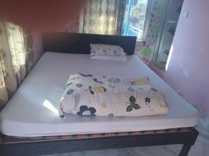 Begnas Lake Front guest house