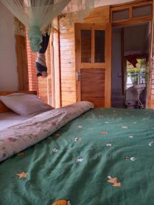 Chameleon Eco Farm Stay and Cultural Tours