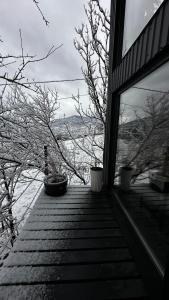 Казковий дім та Garden два будиночки в горах з чаном-джакузі