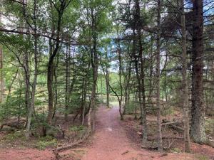 Seaside Retreat with Spa - By Traum Ferienwohnungen