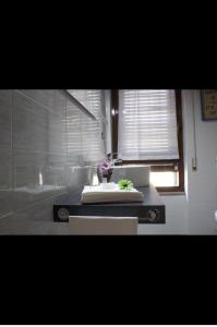 Intero appartamento con vista sul parco , stazione centrale