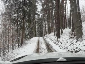 Chatka na Skraju Lasu