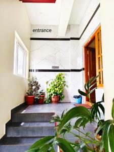 The two bedroom house