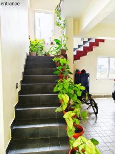 The two bedroom house