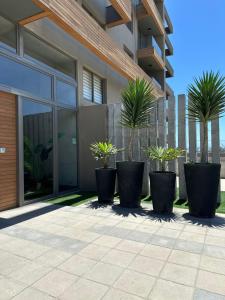 Departamento Vista al Mar